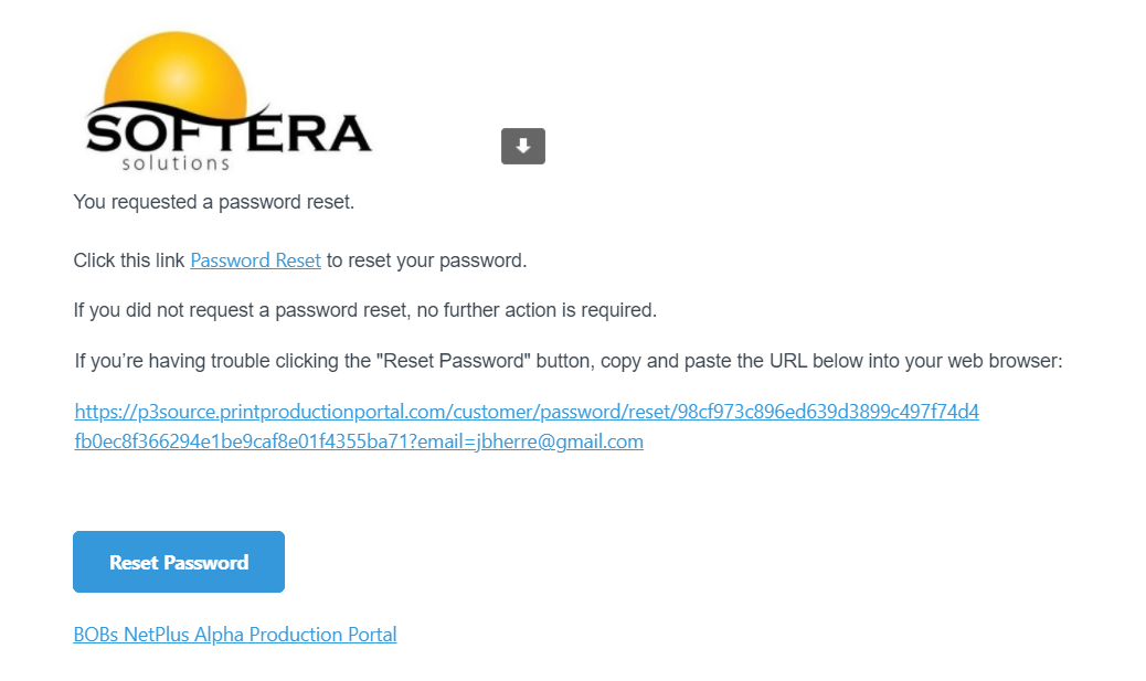 Reset Password Email